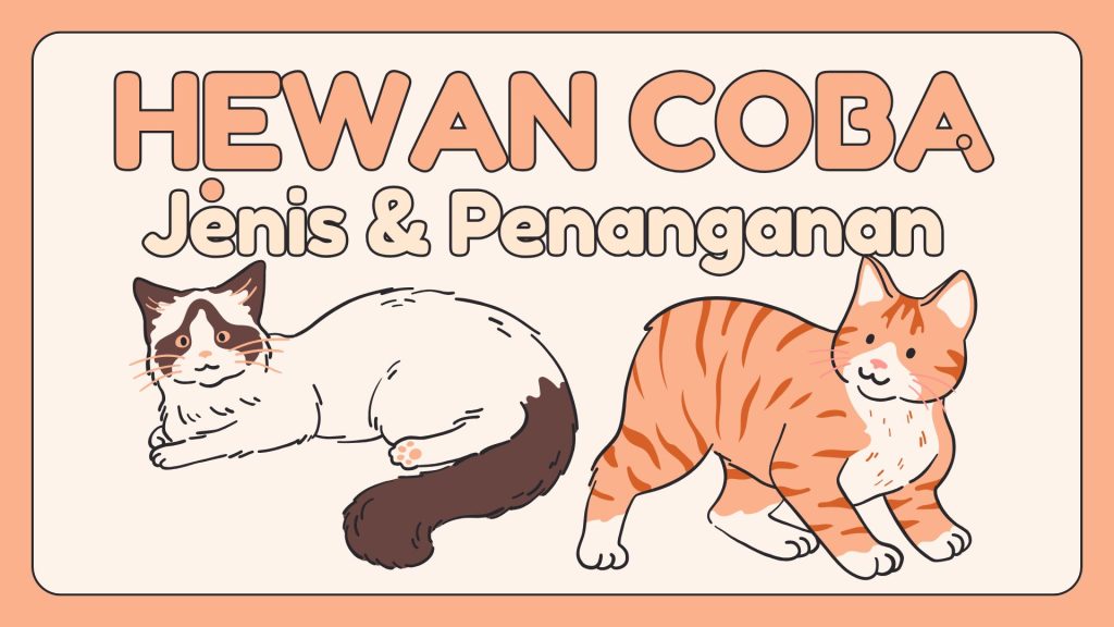 pemeliharaan hewan coba mencit kelinci tikus