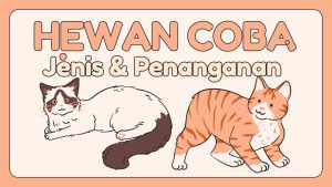 Cara pemeliharaan penanganan Hewan Coba