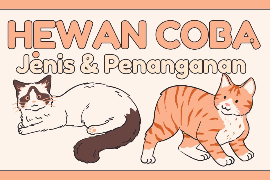 Cara pemeliharaan penanganan Hewan Coba