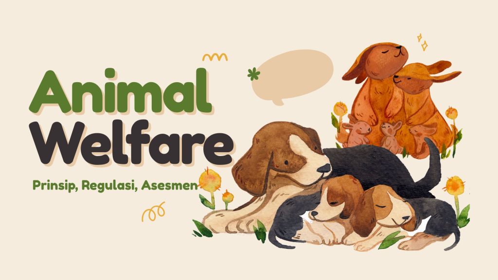 animal welfare
