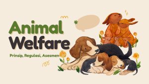 animal welfare