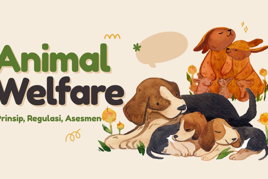 animal welfare