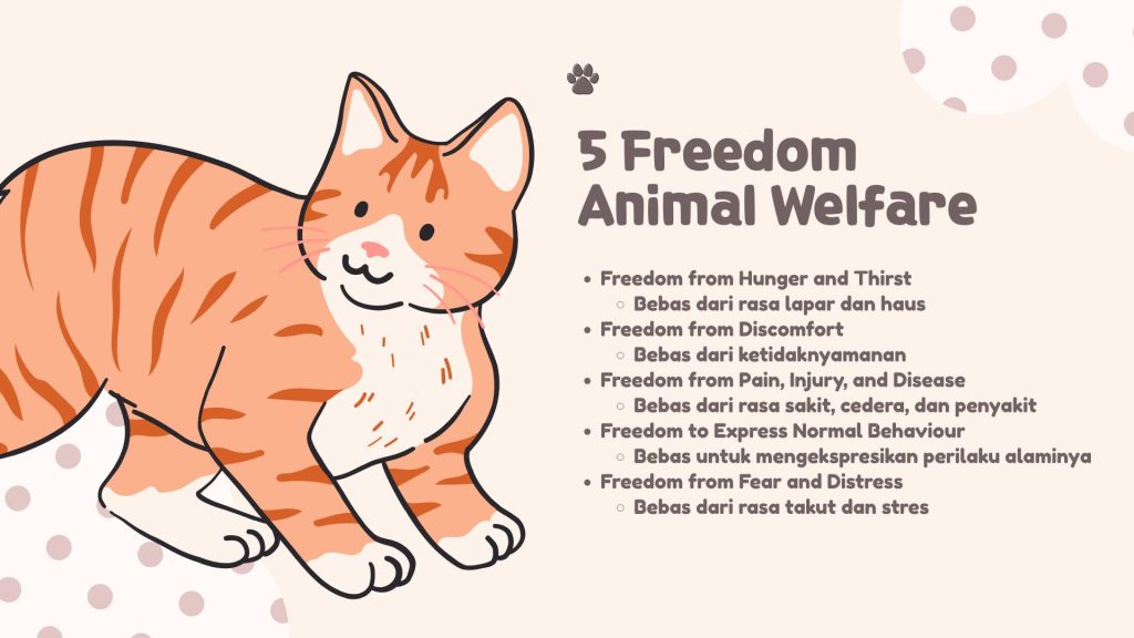 five freedom of animal welfare prinsip kesejahteraan hewan