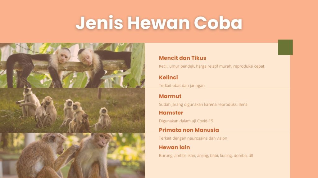cara mematikan hewan coba